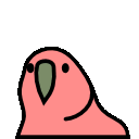 parrot conga